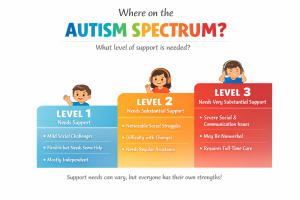 Autism levels explained