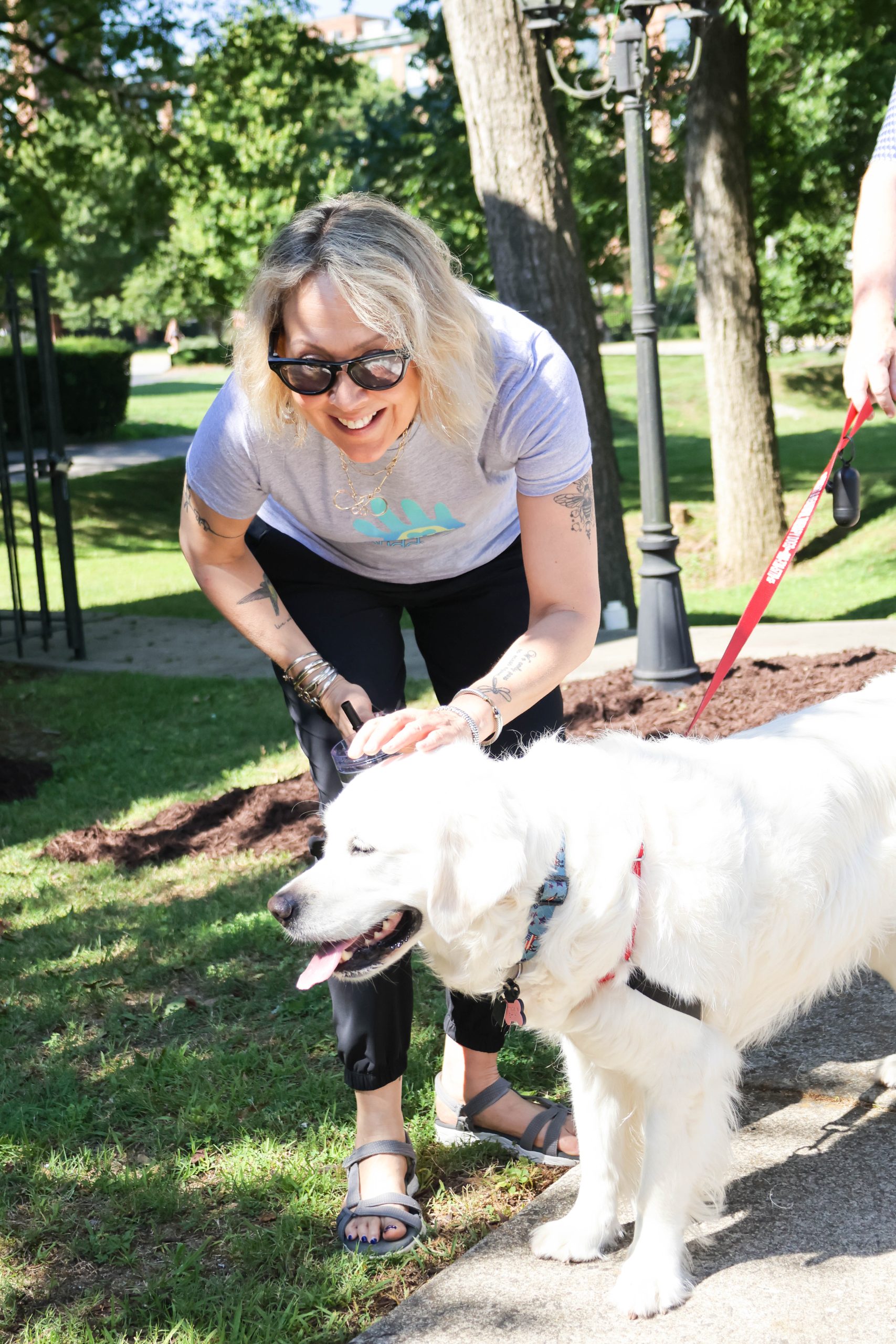 therapy dogs at the buddy center